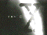 alien03.gif (77093 bytes)